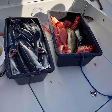 Διαμέρισμα Panorama Russelv