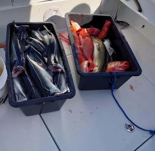 Διαμέρισμα Panorama Russelv