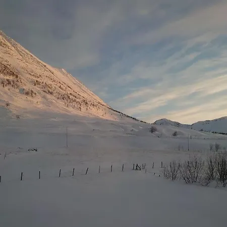 Panorama Russelv