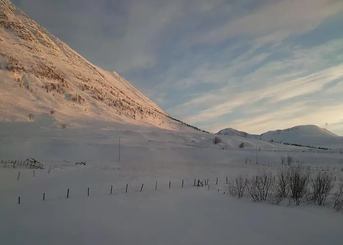Panorama Russelv